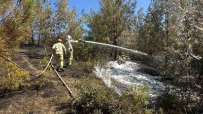 Adana’da çıkan orman yangını ekiplerin zamanında müdahalesiyle söndürüldü. Bölgede son
