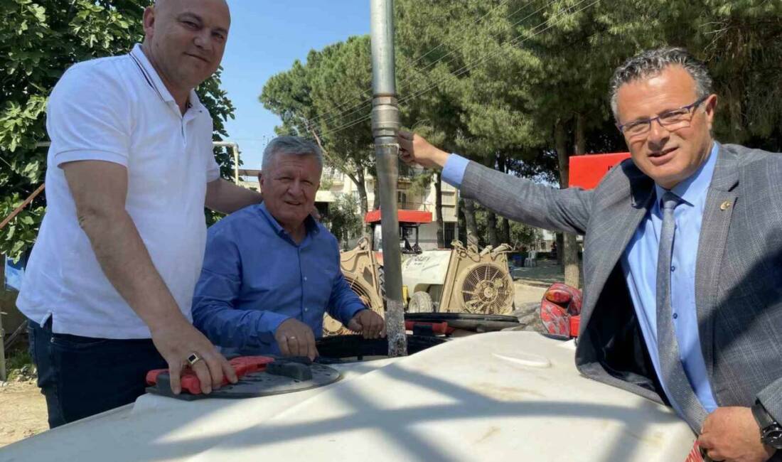 MANİSA (İHA) – Manisa’nın Alaşehir ilçesinde çiftçiler, yaklaşan Kurban Bayramı’nın