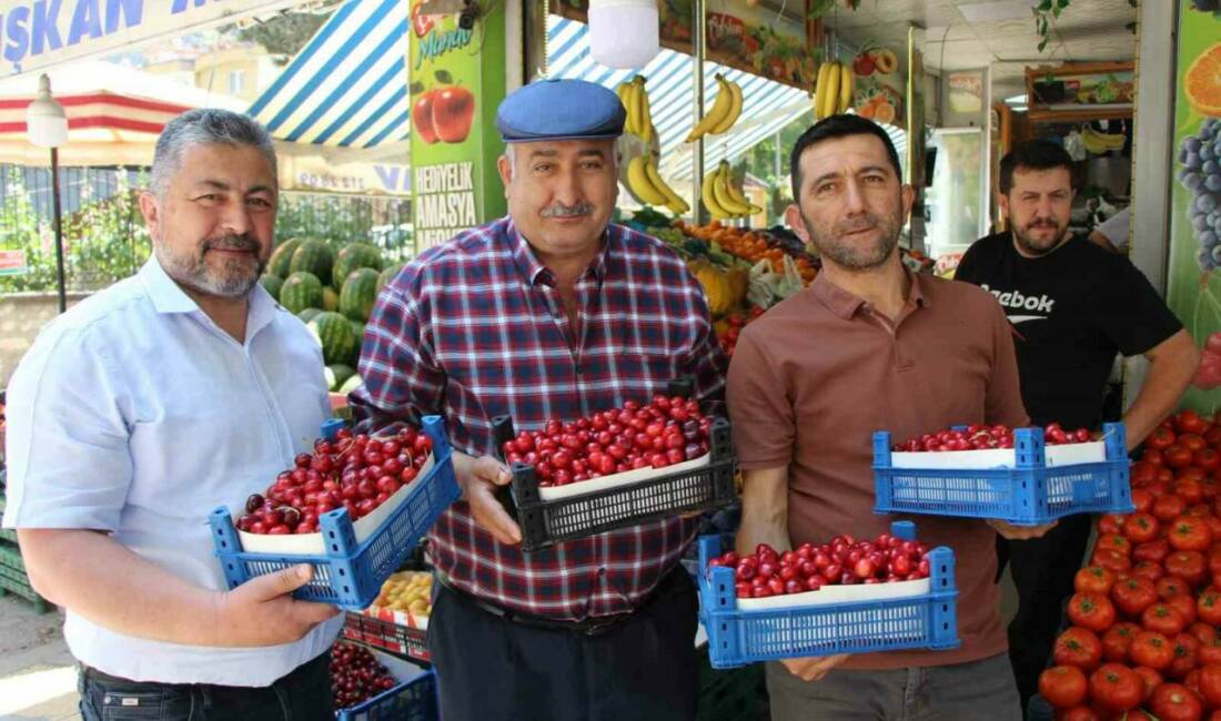 Amasya’da 60 yılı aşkın süredir düzenlenen kiraz teşvik yarışması, bu