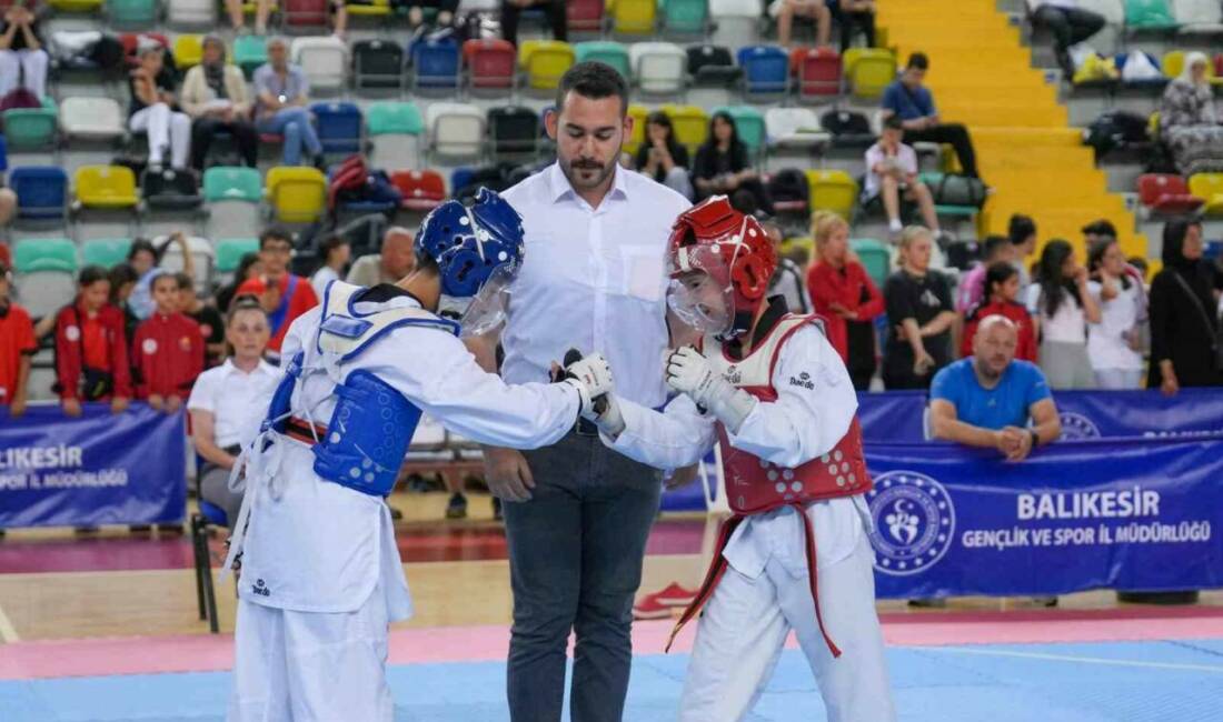 Balıkesir Şehit Turgut Solak Spor Salonu’nda düzenlenen Anadolu Yıldızlar Ligi