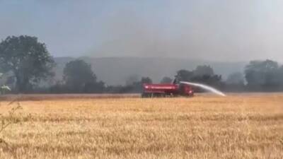 Düzce’de merada çıkan anız yangını rüzgarın etkisi ile güçlükle söndürüldü.