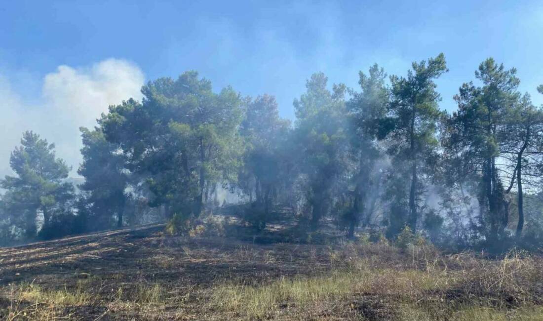 Antalya’nın Serik ilçesinde ormanlık alanda çıkan yangın 2 saatte kontrol
