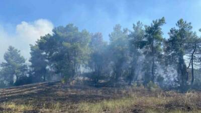 Antalya’nın Serik ilçesinde ormanlık alanda çıkan yangın 2 saatte kontrol