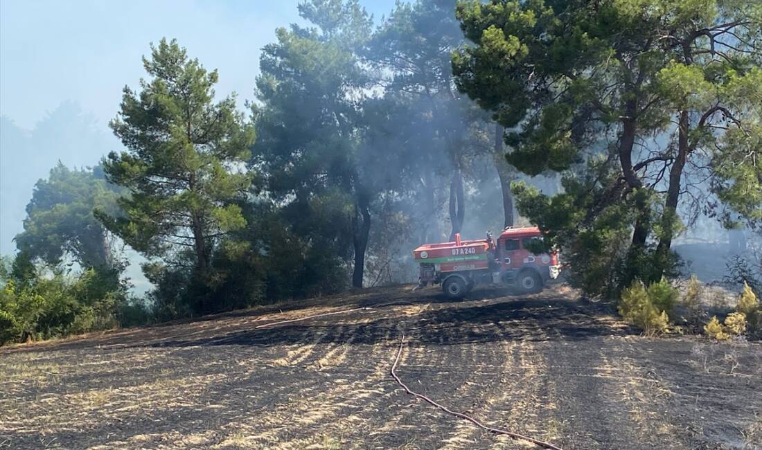 ANTALYA (AA) – Antalya’nın Serik ilçesinde ormanlık alanda çıkan yangın