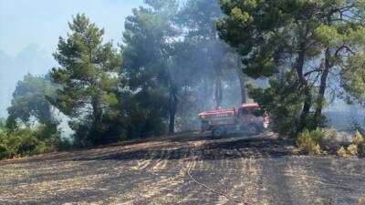 ANTALYA (AA) – Antalya’nın Serik ilçesinde ormanlık alanda çıkan yangın