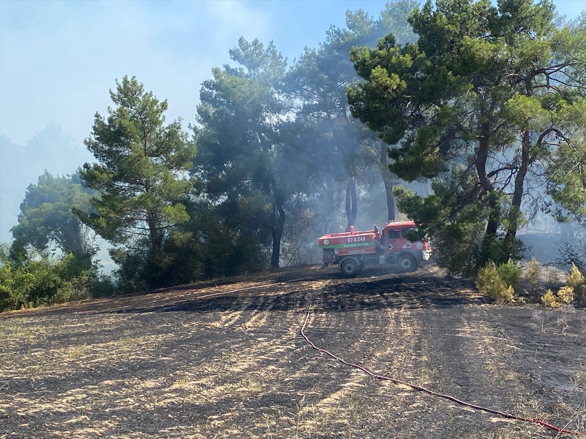 ANTALYA (AA) – Antalya’nın Serik ilçesinde ormanlık alanda çıkan yangın