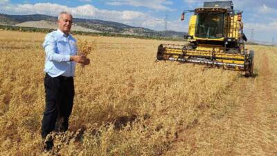 Gaziantep’in Araban ilçesinde 35 bin dönüm alanda üretimi yapılan nohut