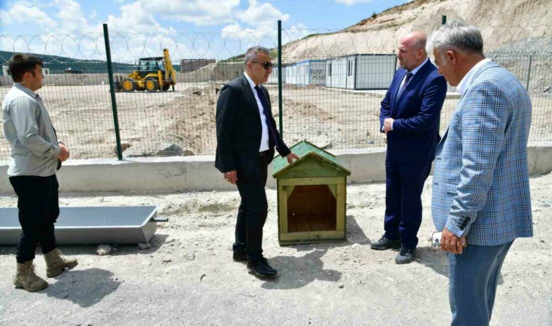 Ardahan’da Valilik tarafından sahipsiz hayvanlar için oluşturulan doğal yaşam alanı