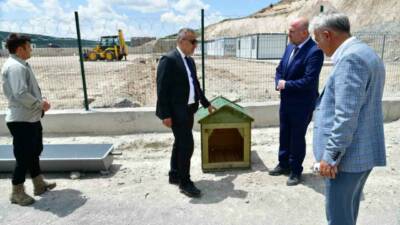 Ardahan’da Valilik tarafından sahipsiz hayvanlar için oluşturulan doğal yaşam alanı