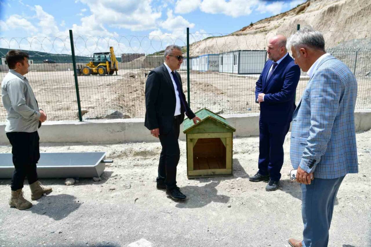 Ardahan’da Valilik tarafından sahipsiz hayvanlar için oluşturulan doğal yaşam alanı