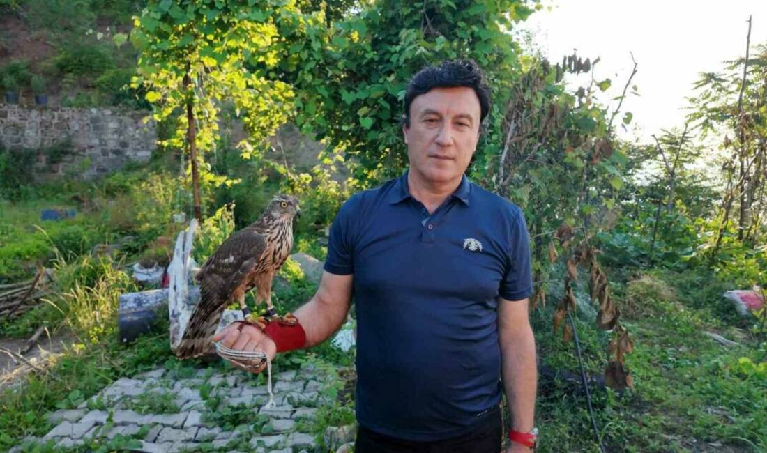 Artvin’de nesillerdir sürdürülen atmaca geleneği, bölgedeki atmacacılar tarafından yaşatılıyor. Artvin’de