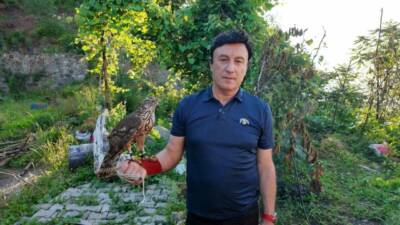 Artvin’de nesillerdir sürdürülen atmaca geleneği, bölgedeki atmacacılar tarafından yaşatılıyor. Artvin’de