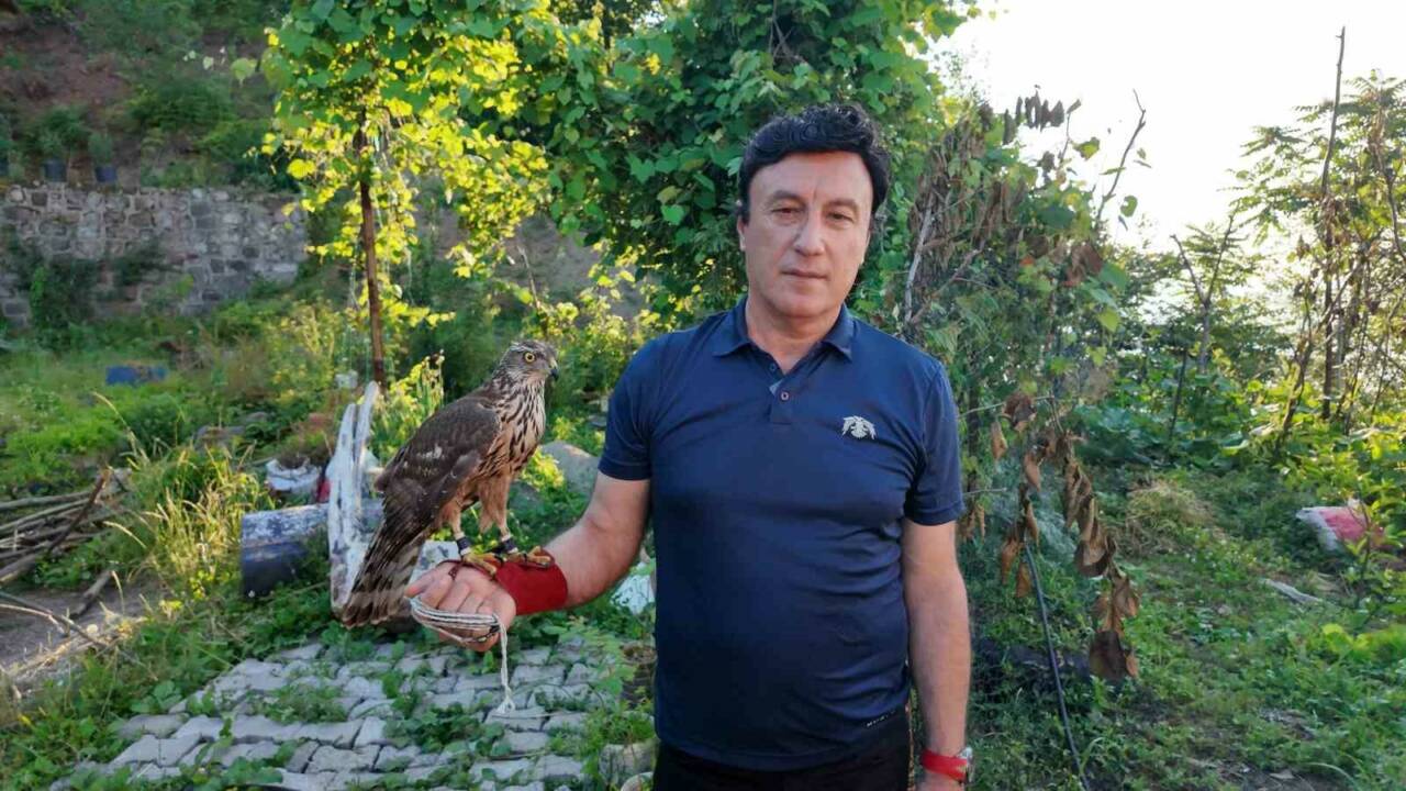 Artvin’de nesillerdir sürdürülen atmaca geleneği, bölgedeki atmacacılar tarafından yaşatılıyor. Artvin’de