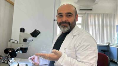 Türkiye’de ilk kez tespit edilen Asya uzun boynuzlu kenesi, erkek