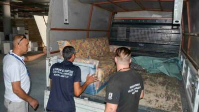 Bodrum Belediyesi Kültür ve Sosyal İşler Müdürlüğü’ne bağlı olarak kent