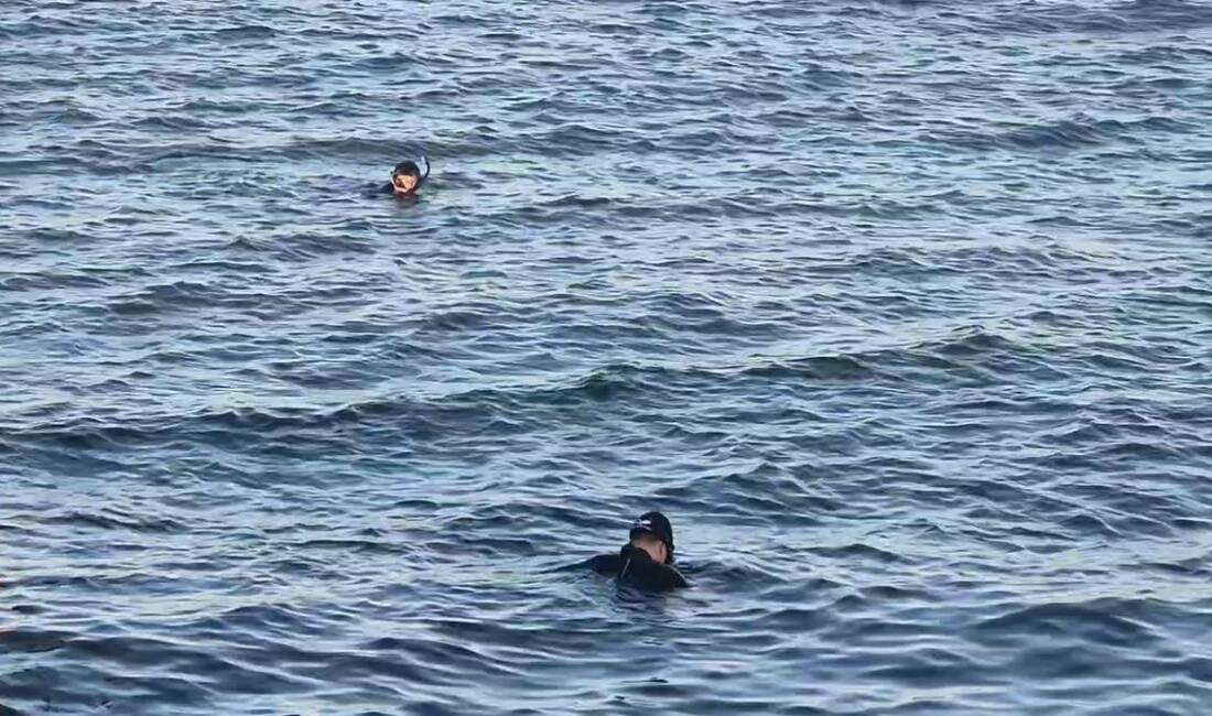 Avcılar’da denizde ceset olduğu ihbarı sahil güvenlik ekiplerini harekete geçirdi.