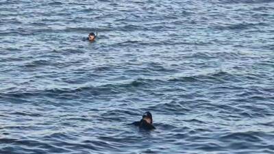 Avcılar’da denizde ceset olduğu ihbarı sahil güvenlik ekiplerini harekete geçirdi.