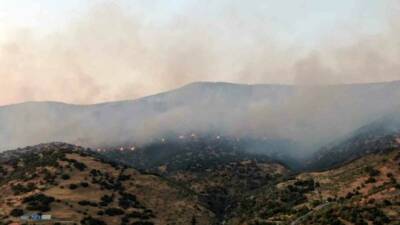 Aydın’ın Efeler ilçesinde tarım arazisinde çıkan ve ormanlık alana sıçrayan