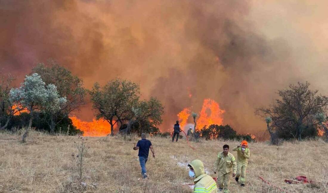 Aydın’da hafta sonu çıkan 11 yangına, Orman İşletme Müdürlüğü ve