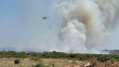 AYDIN (AA) – Aydın’ın Didim ilçesinde makilik alanda çıkan bir