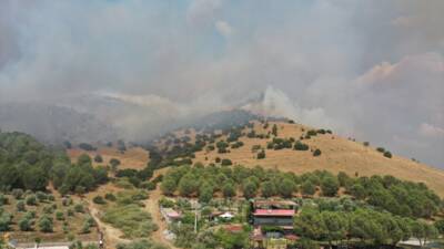 AYDIN (AA) – Aydın’ın Efeler ilçesinde ziraat alanı ve makilikteki