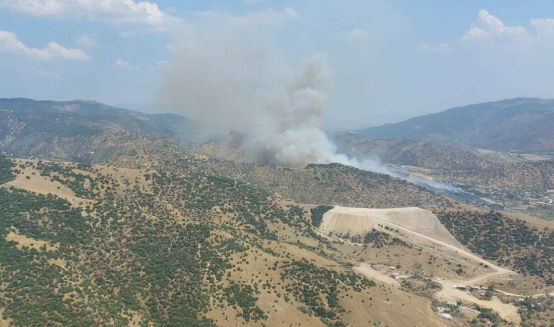 Aydın’ın Efeler ilçesi zirai alanda çıkan yangını söndürme çalışmaları başladı.