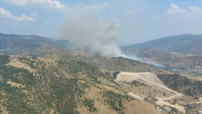 Aydın’ın Efeler ilçesinde zirai alanda çıkan yangın rüzgarın da etkisiyle