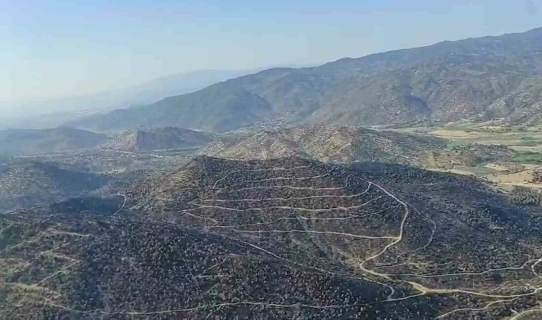 Aydın’ın Efeler ilçesi Savrandere Mahallesi mevkisinde tarım arazisinde başlayan ve