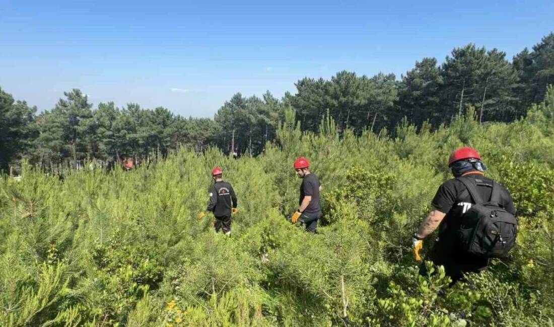 İstanbul Pendik’te Aydos Ormanı’na girdikten sonra kendisinden haber alınamayan 49
