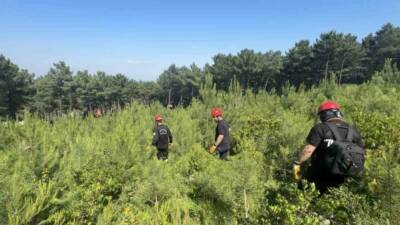 İstanbul Pendik’te Aydos Ormanı’na girdikten sonra kendisinden haber alınamayan 49