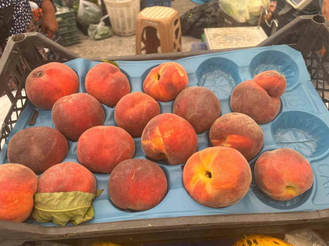 Denizli’de geçtiğimiz günlerde bahar aylarında soğuklardan etkilenen meyve ağaçlarındaki verimin