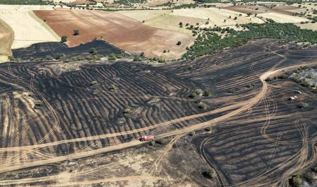 Uşak’ta tarım arazisinde çıkan yangın rüzgarın da etkisiyle makilik alana