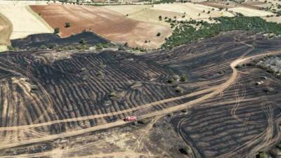 Uşak’ta tarım arazisinde çıkan yangın rüzgarın da etkisiyle makilik alana