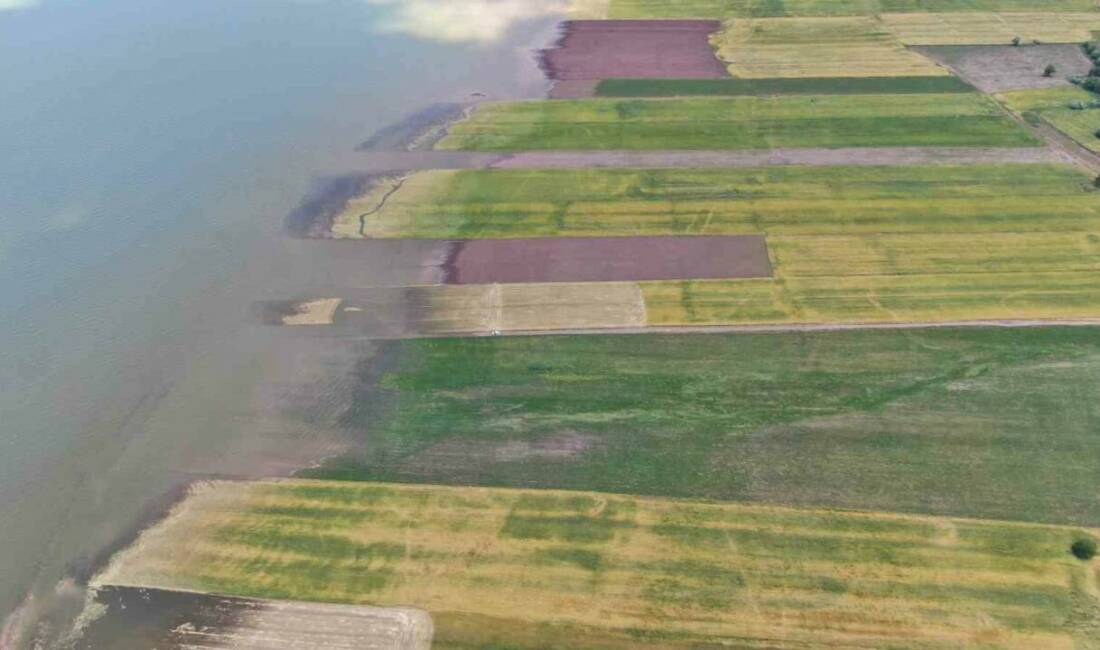 Elazığ’da son 3 yıldır baraj sahasını eken çiftçilerin şansı bu