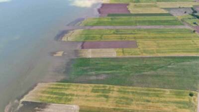 Elazığ’da son 3 yıldır baraj sahasını eken çiftçilerin şansı bu