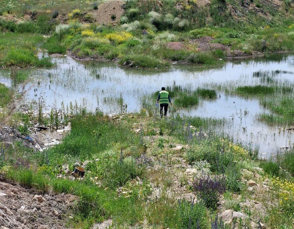 Bayburt’ta Veteriner İşleri Müdürlüğü ekiplerince bit, pire, kene, larva ve