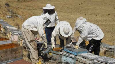 Zengin bitki örtüsüne sahip Bayburt’un yaylalarında ve köylerinde arıcılık yapan