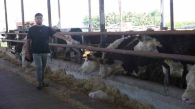 Hatay’da besicilik yapan İbrahim Yumuşak, yurt dışından getirerek besisine sevkini