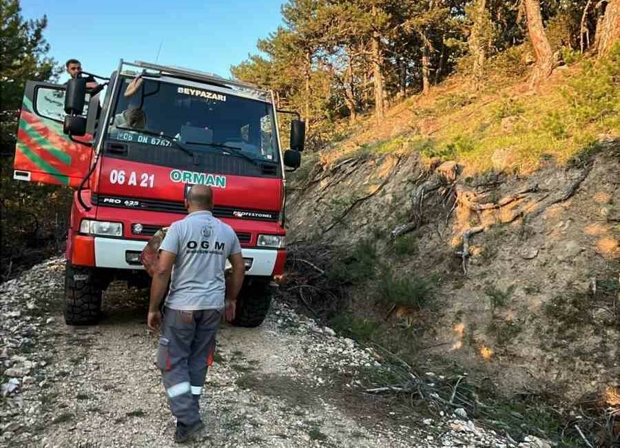 Ankara’nın Beypazarı ilçesinde ormanlık alanda çıkan yangın, itfaiye ekiplerinin müdahalesiyle