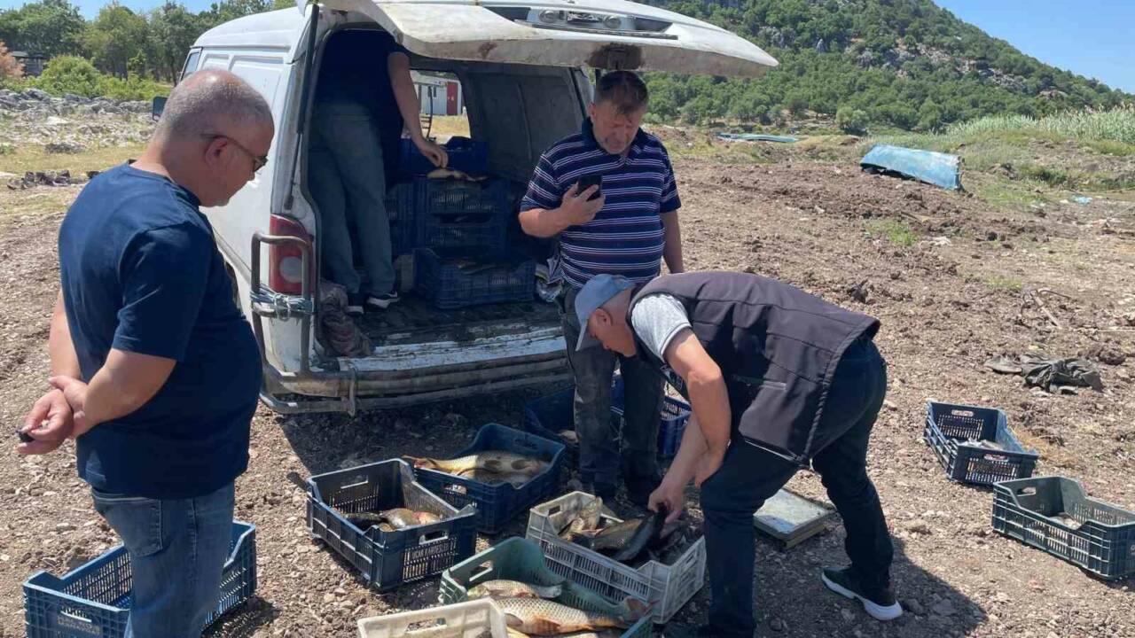 Konya’nın Beyşehir ilçesinde yer alan göl ve göletlerde yeni balık