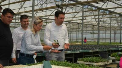 Bilecik’in Söğüt ilçesinde tarımsal üretimi çeşitlendirmek amacıyla başlatılan “Enginar Fide”