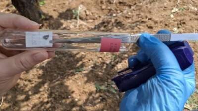 Bilecik İl Tarım ve Orman Müdürü Necmettin Yoldaş, il genelinde