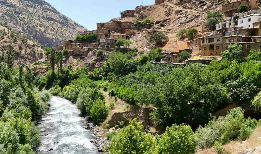 Bitlis’in en gözde köylerinden biri olan Hacı Mehmet köyü, hem