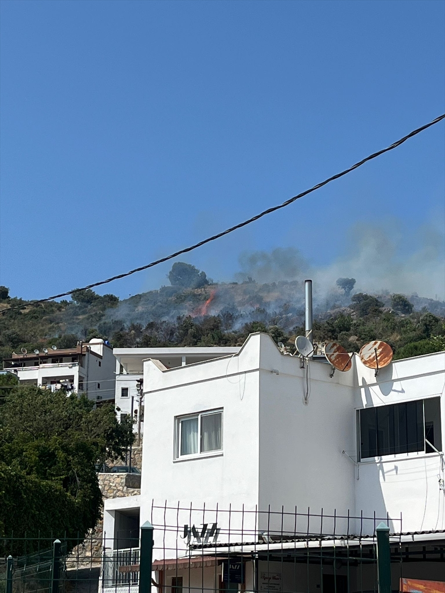MUĞLA (AA) – Muğla’nın Bodrum ilçesinde makilik alanda çıkan yangın