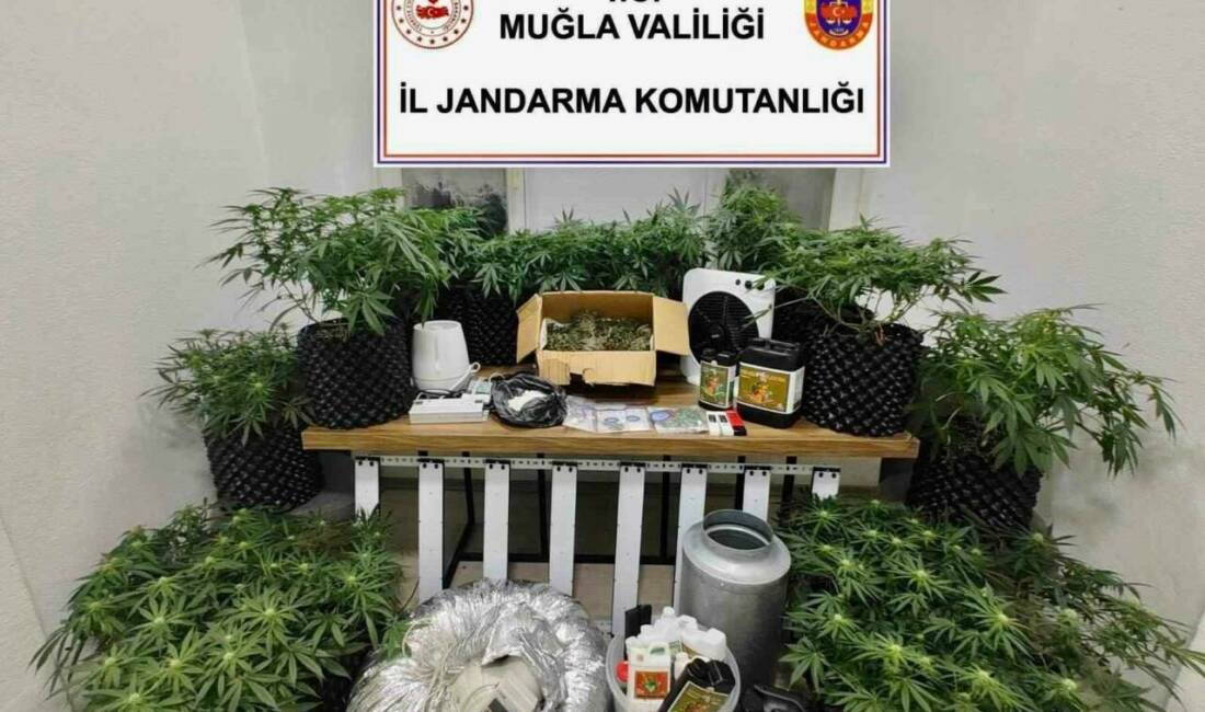 Muğla’nın Bodrum ilçesinde jandarma ekipleri tarafından düzenlenen operasyonda çok miktarda