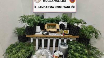 Muğla’nın Bodrum ilçesinde jandarma ekipleri tarafından düzenlenen operasyonda çok miktarda