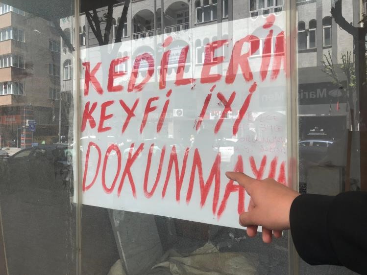 Eskişehir’de boş dükkanında kedileri bulunan işletme sahibi cama, “Kedilerin keyfi