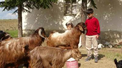 Yozgat’ın Sorgun ilçesine bağlı Dişli Köyünde yaşayan Emir Ali Dişlioğlu,