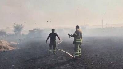 Balıkesir’in Susurluk ilçesine bağlı Balıklıdere Mahallesi’nde buğday ekili arazide çıkan