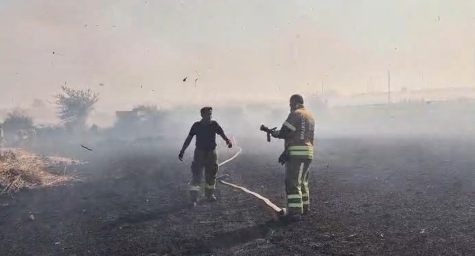 Balıkesir’in Susurluk ilçesine bağlı Balıklıdere Mahallesi’nde buğday ekili arazide çıkan